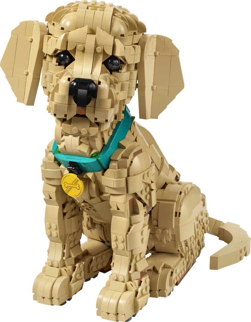 LEGO ICONS Golden Retriever Puppy Set 11384