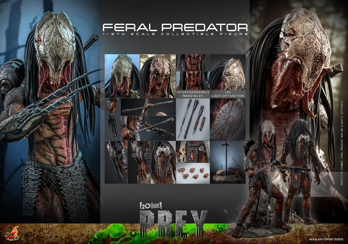 Feral Predator Sixth Scale Figure