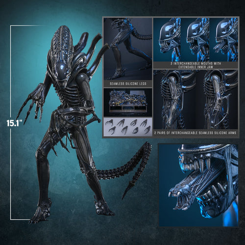 Alien Warrior Sixth Scale Figure