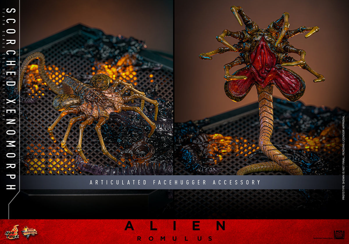 Scorched Xenomorph Alien Sixth Scale Figure