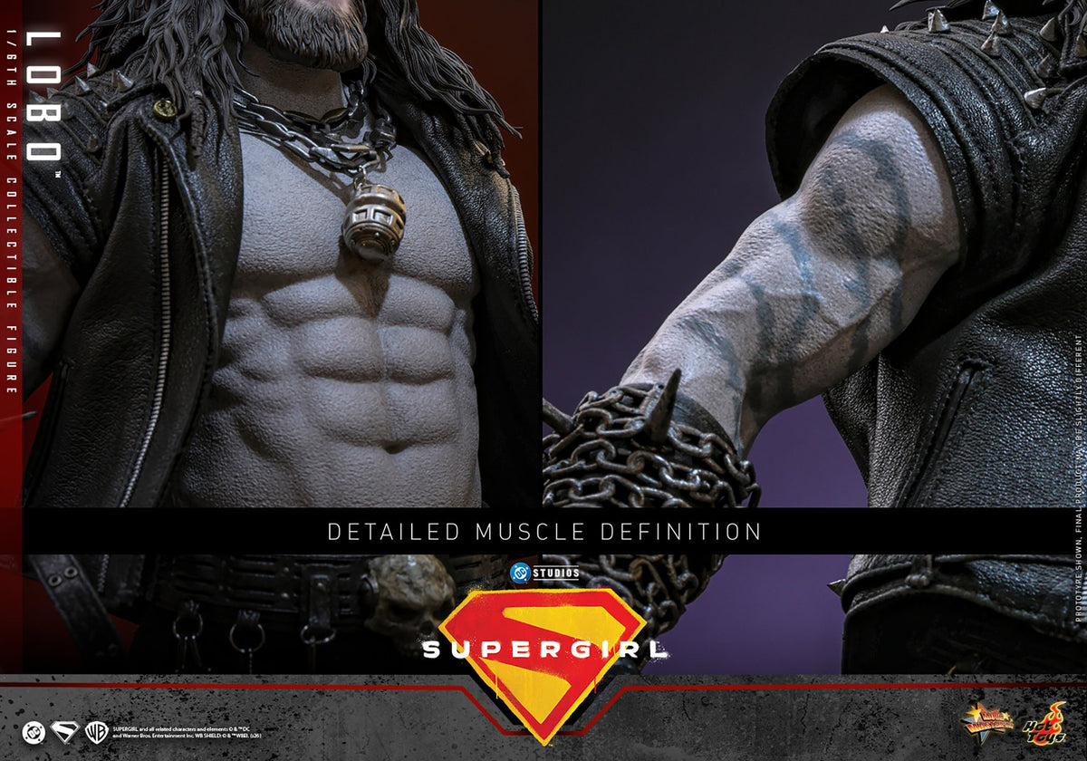 Lobo DC Sixth Scale Figure