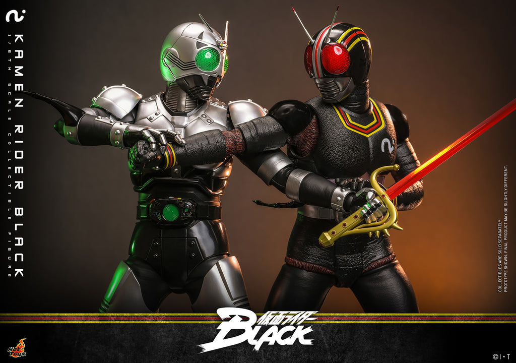 Kamen Rider Black Sixth Scale Figure