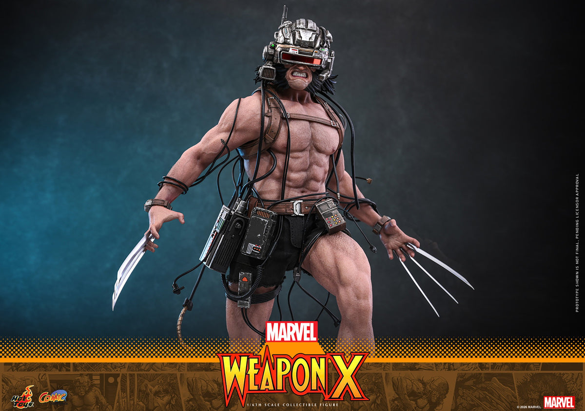 Weapon X Marvel Sixth Scale Figure