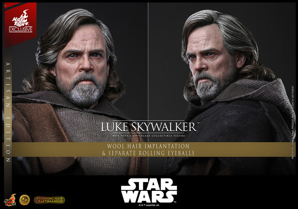 Luke Skywalker (Artisan Edition) Star Wars Sixth Scale Figure