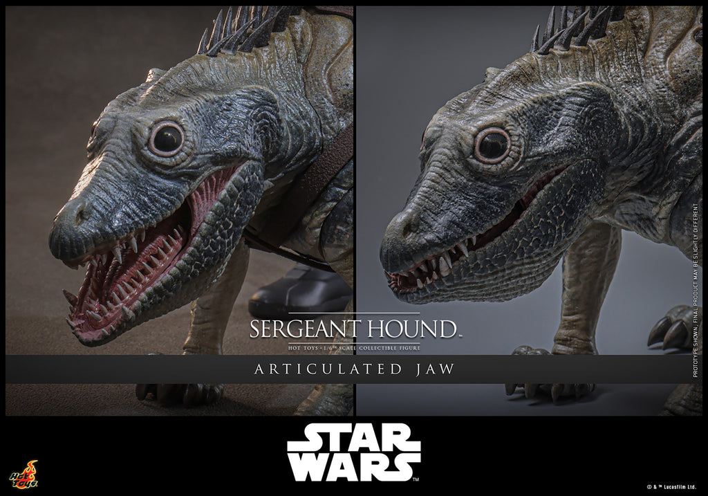 Sergeant Hound Star Wars Sixth Scale Figure