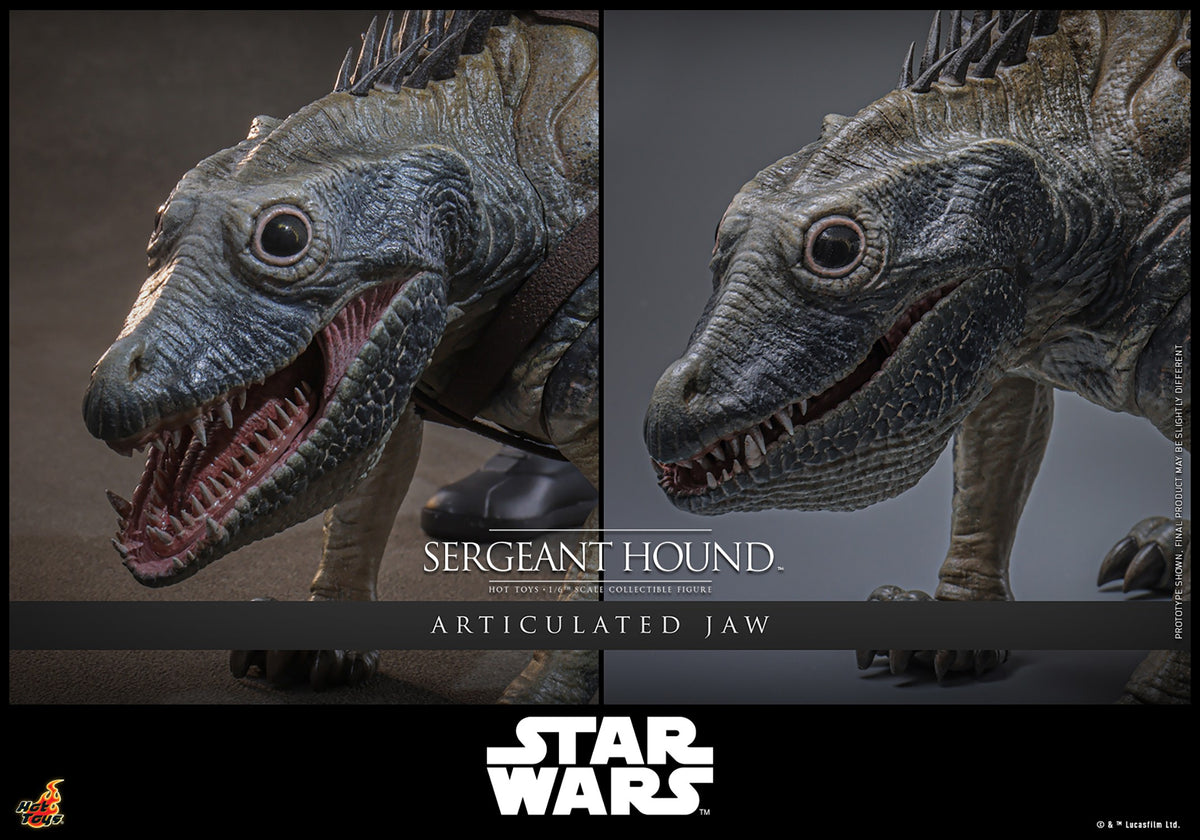 Sergeant Hound Star Wars Sixth Scale Figure