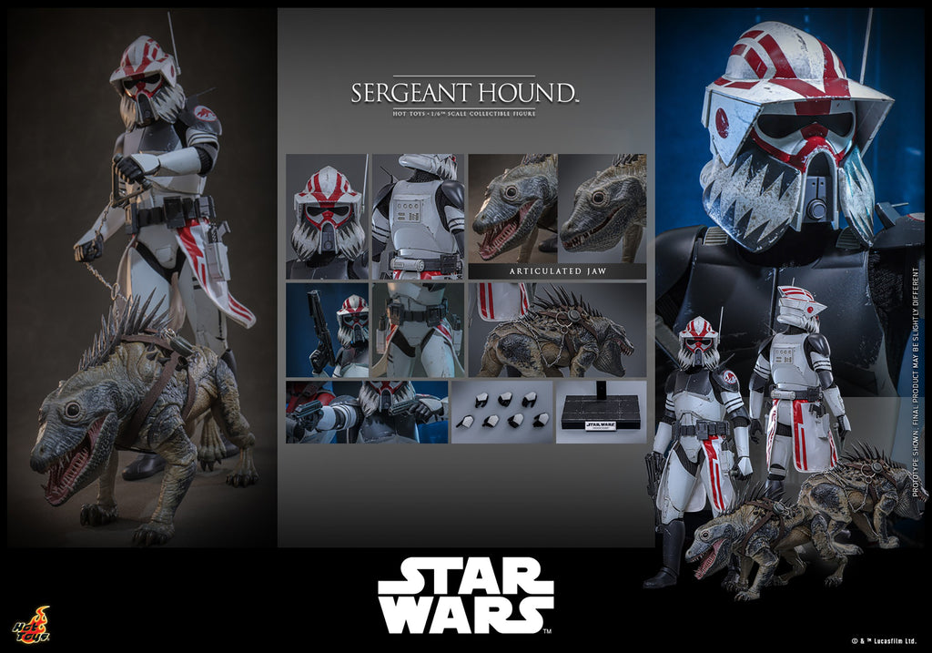 Sergeant Hound Star Wars Sixth Scale Figure