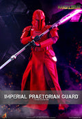 Imperial Praetorian Guard Star Wars Sixth Scale Figure
