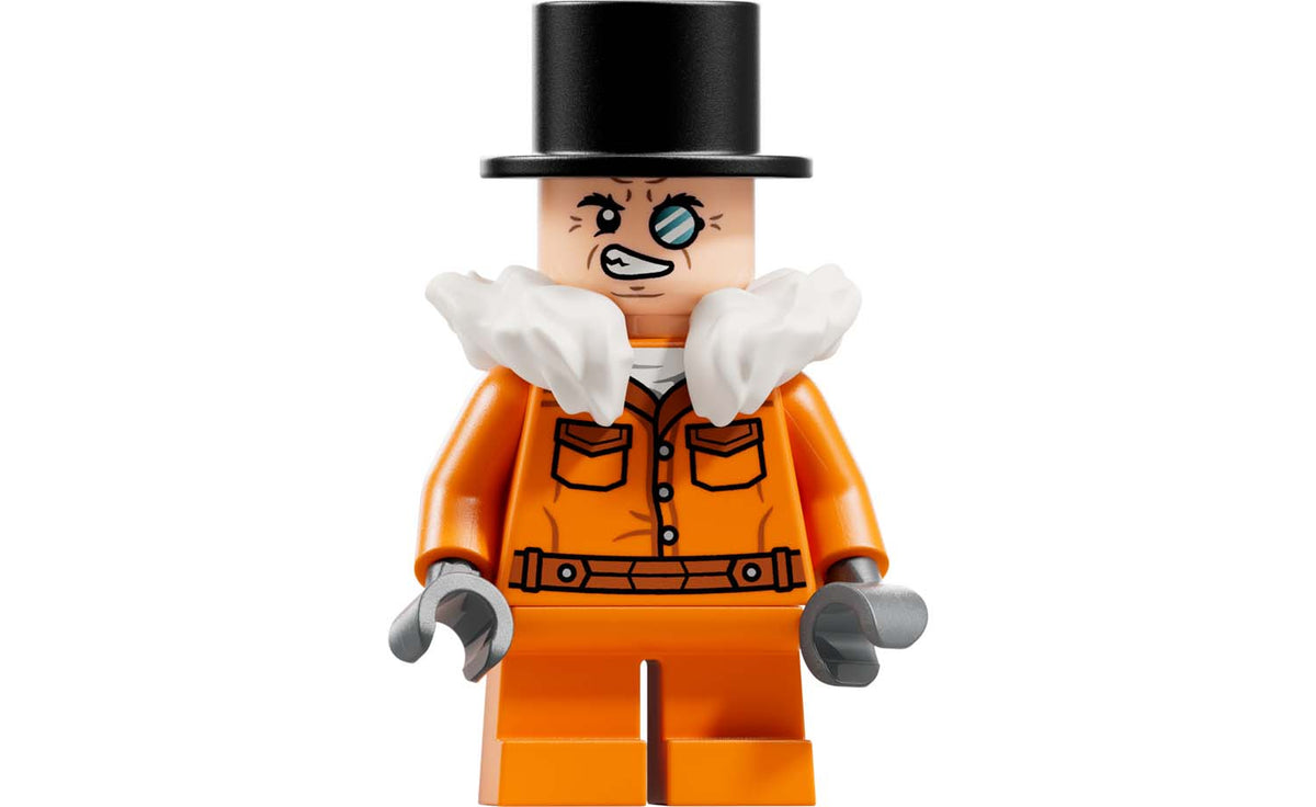 LEGO DC Arkham Asylum Set 76300