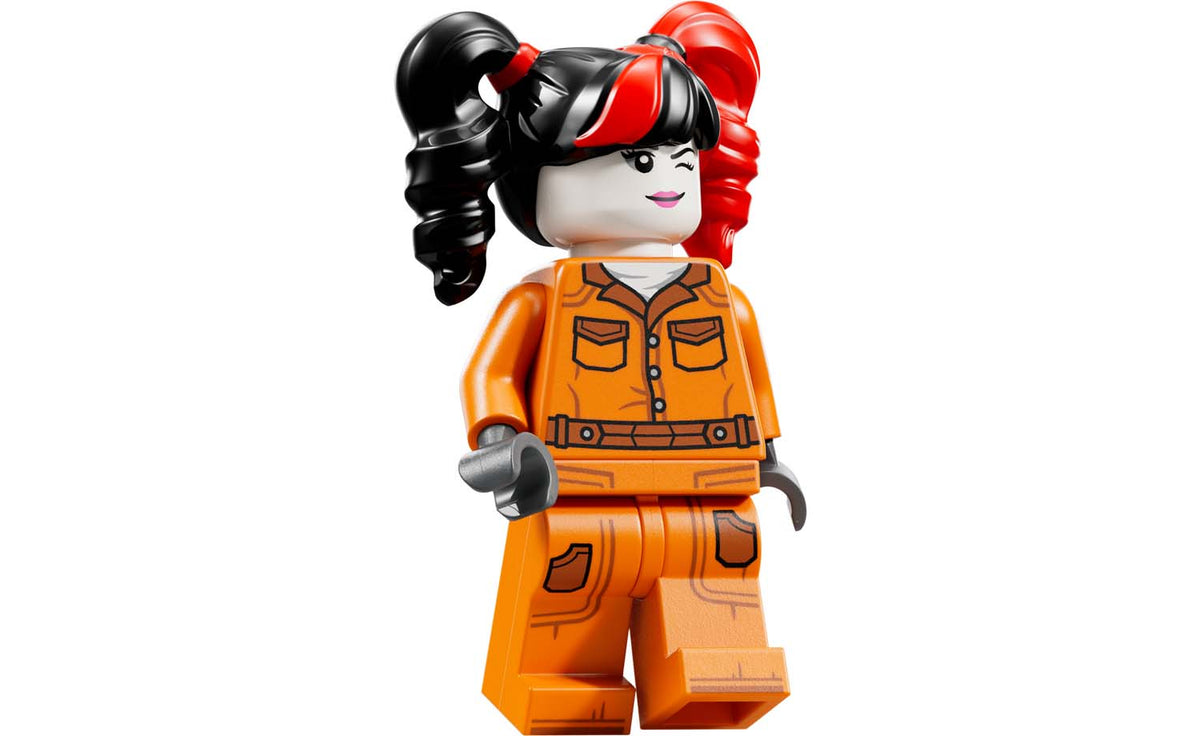LEGO DC Arkham Asylum Set 76300